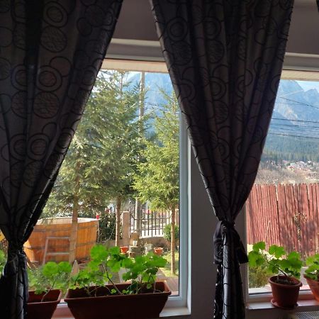 Mountain View Apartment Busteni Exterior photo