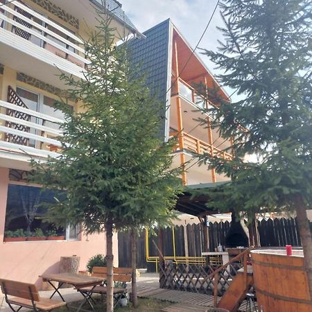 Mountain View Apartment Busteni Exterior photo